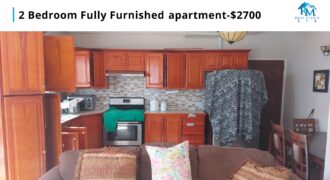 2 Bedroom Fully Furnished apartment-$2700